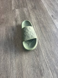 Coach slides